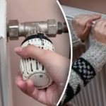 Baterie se zahřívají: důmyslný trik, jak proměnit radiátory v "kamna" Baterie se zahřívají: důmyslný trik, jak proměnit radiátory v „kamna“