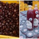 Divoké rostliny – skutečné peníze: tajemství výnosného podnikání z ukrajinských