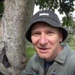 Dutý strom není rozsudek: osvědčený způsob, jak prodloužit životnost stromu Dutý strom není rozsudek: osvědčený způsob, jak prodloužit životnost stromu