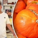 Jak rychle oloupat dýni: šéfkuchař se podělil o osvědčené metody Jak rychle oloupat dýni: šéfkuchař se podělil o osvědčené metody