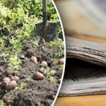 Je čas udělat si zásoby: Jak využít staré noviny na