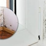 Na chemikálie můžete zapomenout: jednoduchý přírodní prostředek plísně zničí okamžitě