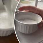 naši občané byli vyzváni, aby si na noc dávali na parapet misku se solí - za jakým účelem? naši občané byli vyzváni, aby si na noc dávali na