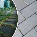 Plevel na zahradě zmizí přes noc, když ho postříkáte jedním kuchyňským prostředkem. Plevel na zahradě zmizí přes noc, když ho postříkáte jedním