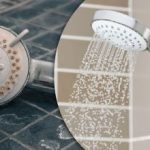 Plíseň a plak se nevrátí: jednoduchý trik ve sprše, o kterém ví jen málokdo Plíseň a plak se nevrátí: jednoduchý trik ve sprše, o