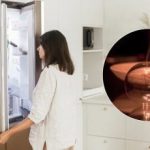 Přepětí už není strašidelné: Jak zajistit bezpečnost ledničky při výpadku proudu Přepětí už není strašidelné: Jak zajistit bezpečnost ledničky při výpadku