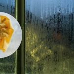 Proč se kočičí stelivo sype na okenní parapety: o této